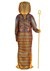 King Tut Adult Ancient Sarcophagus Costume Alt 1