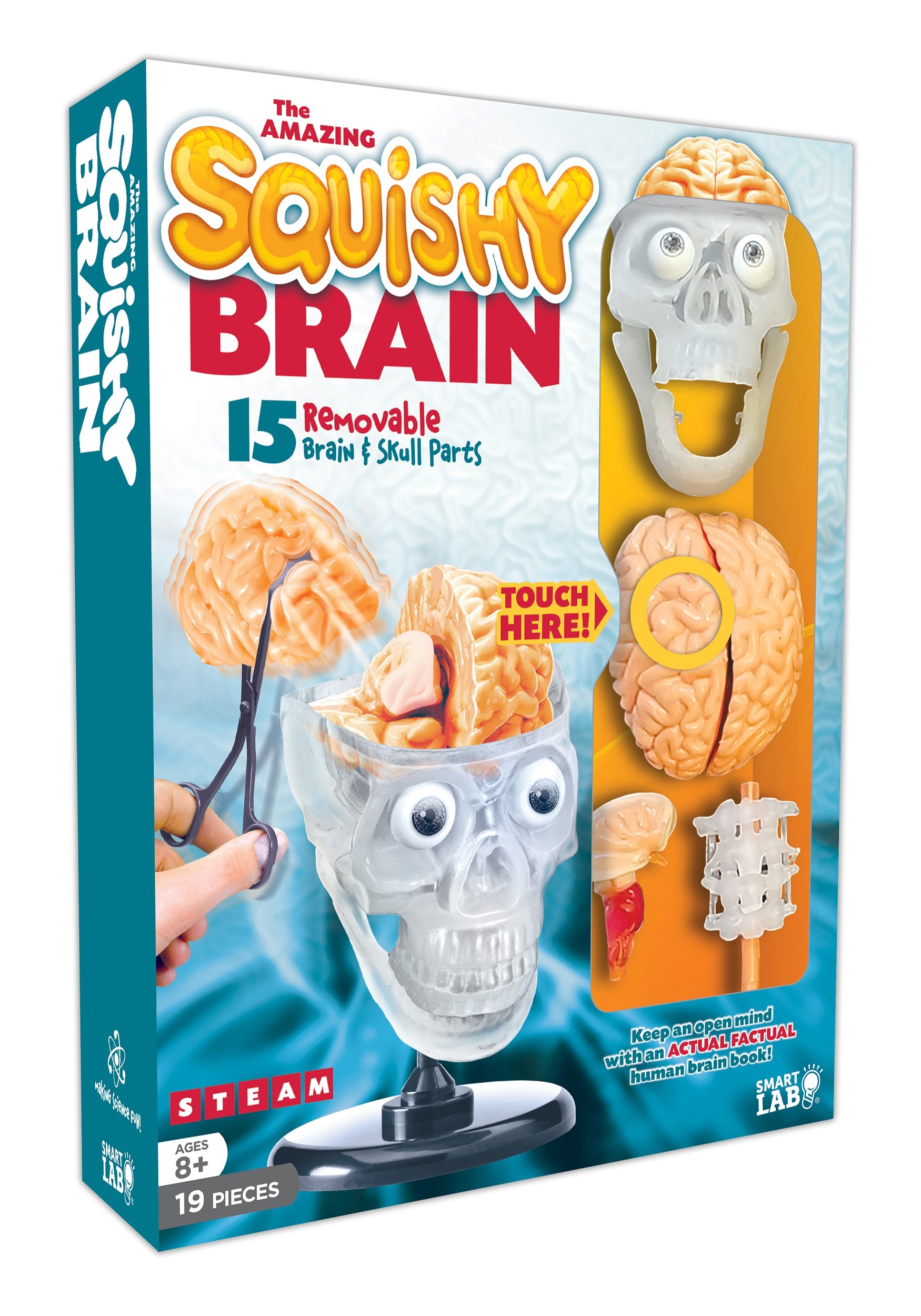 The Amazing Squishy Brain SmartLab Toys