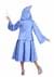 Adult Plus Size Fairy Godmother Costume Alt 1