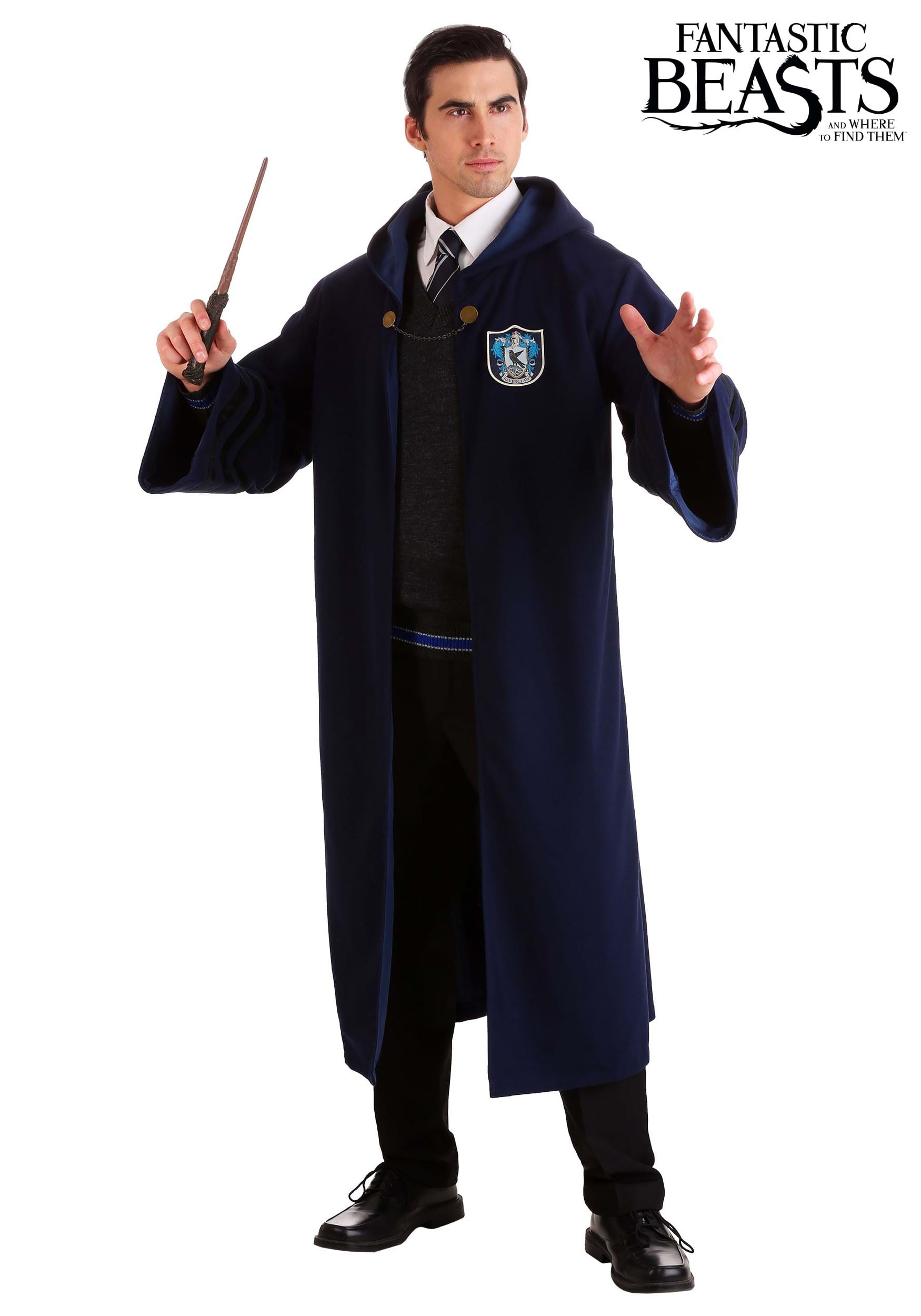 Bezienswaardigheden bekijken Perfect Verminderen Vintage Harry Potter Hogwarts Ravenclaw Robe