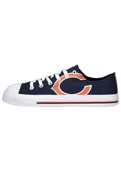 Bears Low Top Canvas Shoe Youth