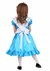 Toddler Wonderful Alice Costume alt 1