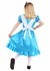 Girls Wonderful Alice Costume Alt 1