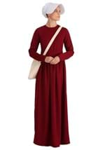 Handmaid's Tale Deluxe Womens Costume Alt 2