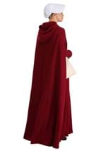 Handmaid's Tale Deluxe Womens Costume Alt 4