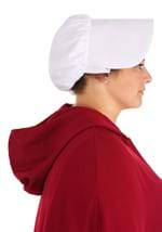 Handmaid's Tale Deluxe Women's Plus Size Costume Alt 6