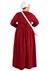 Handmaid's Tale Deluxe Womens Plus Size Costume 5