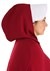Handmaid's Tale Deluxe Womens Plus Size Costume 7