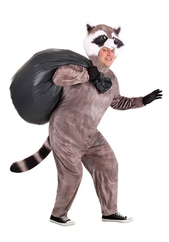 Realistic Raccoon Plus Size Costume