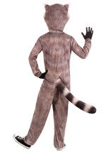 Adult Realistic Raccoon Costume Alt 1