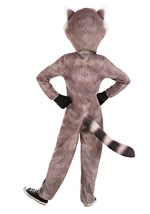 Kids Realistic Raccoon Costume