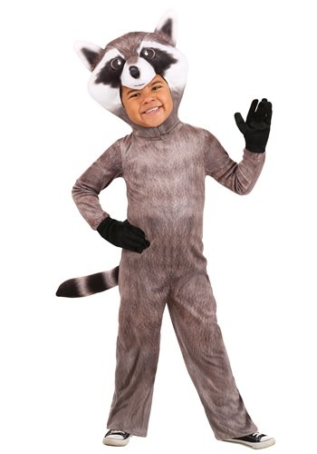 Toddler Realistic Raccoon Costume