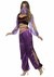 Women's Purple Belly Dancer Costume Alt 2