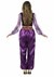 Women's Purple Belly Dancer Costume Alt 1