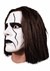 Sting Mask WWE 1