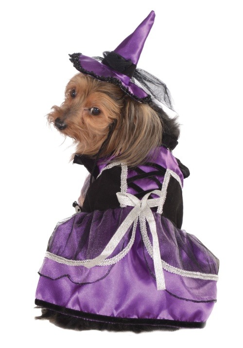 Purple Witch Pet Costume