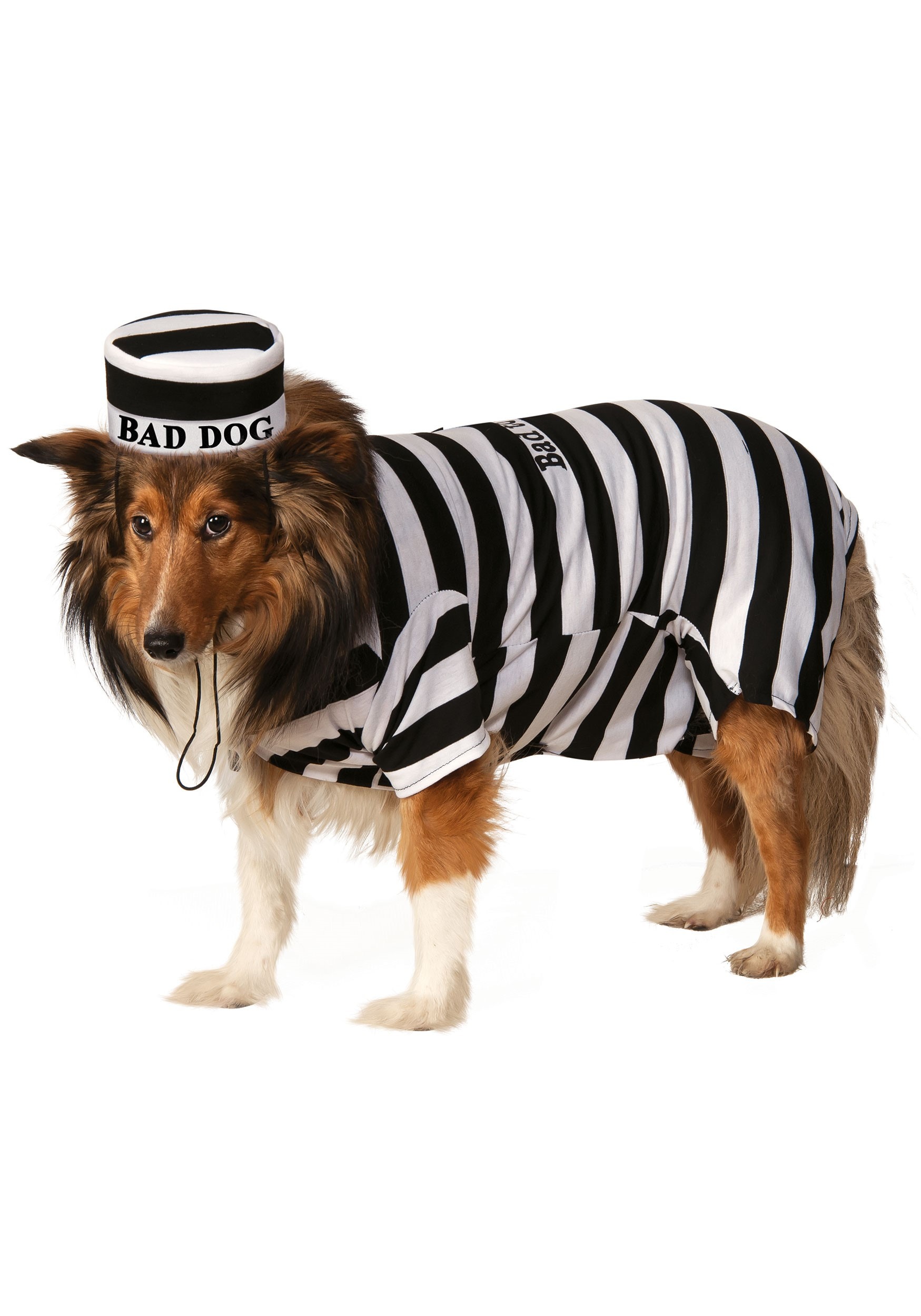 Pet Prisoner Costume