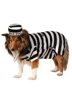 Pet Costume Prisoner