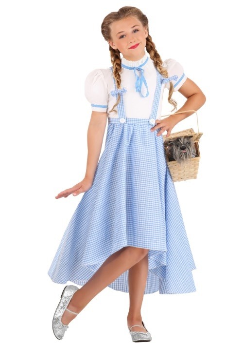 Girl's Hi-Lo Gingham Dress Costume