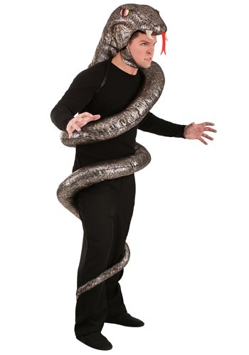 Adult's Slither Snake Costume