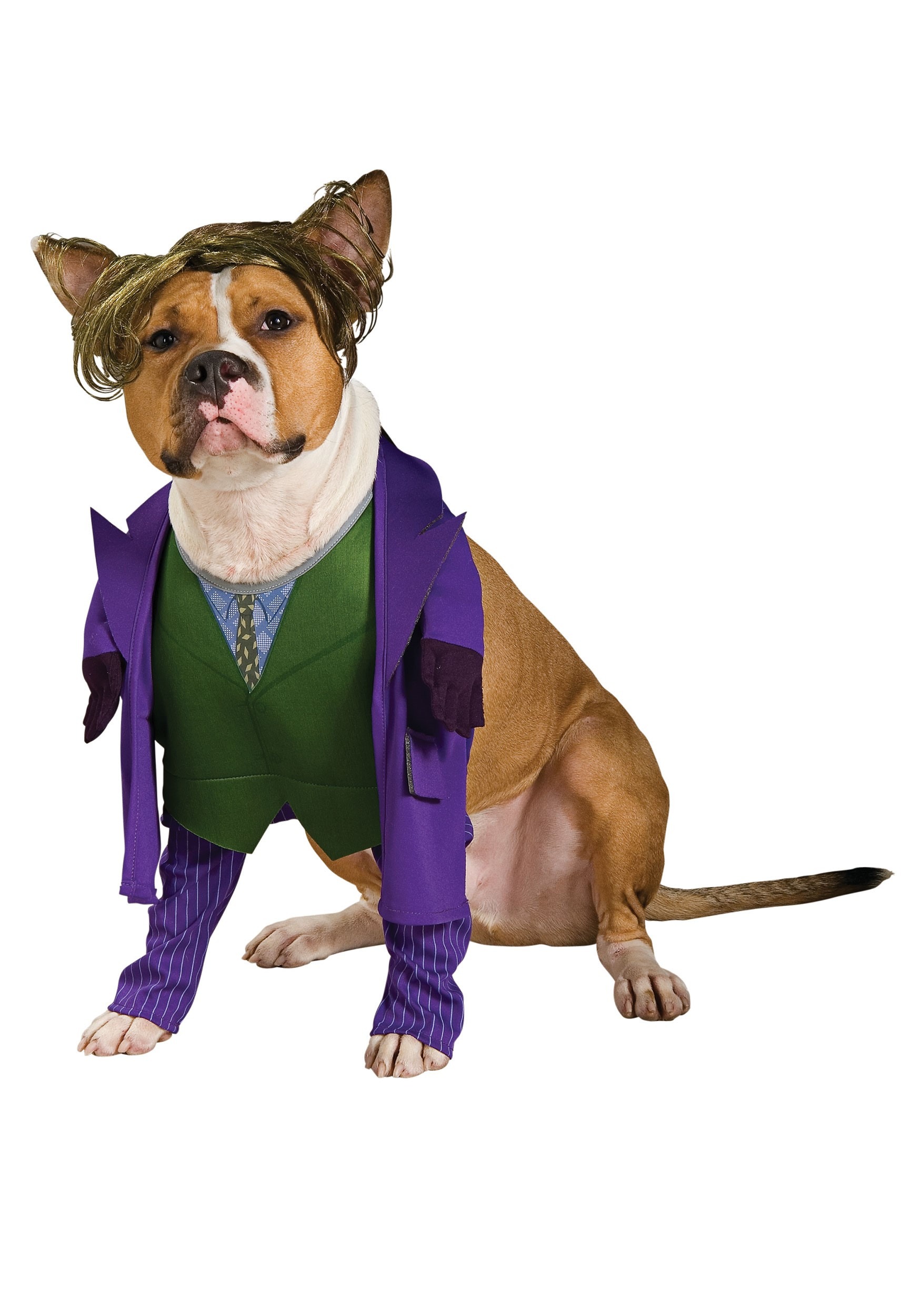 Photos - Fancy Dress Rubies Costume Co. Inc Batman's Joker Pet Costume | Pet Costumes Green/ 