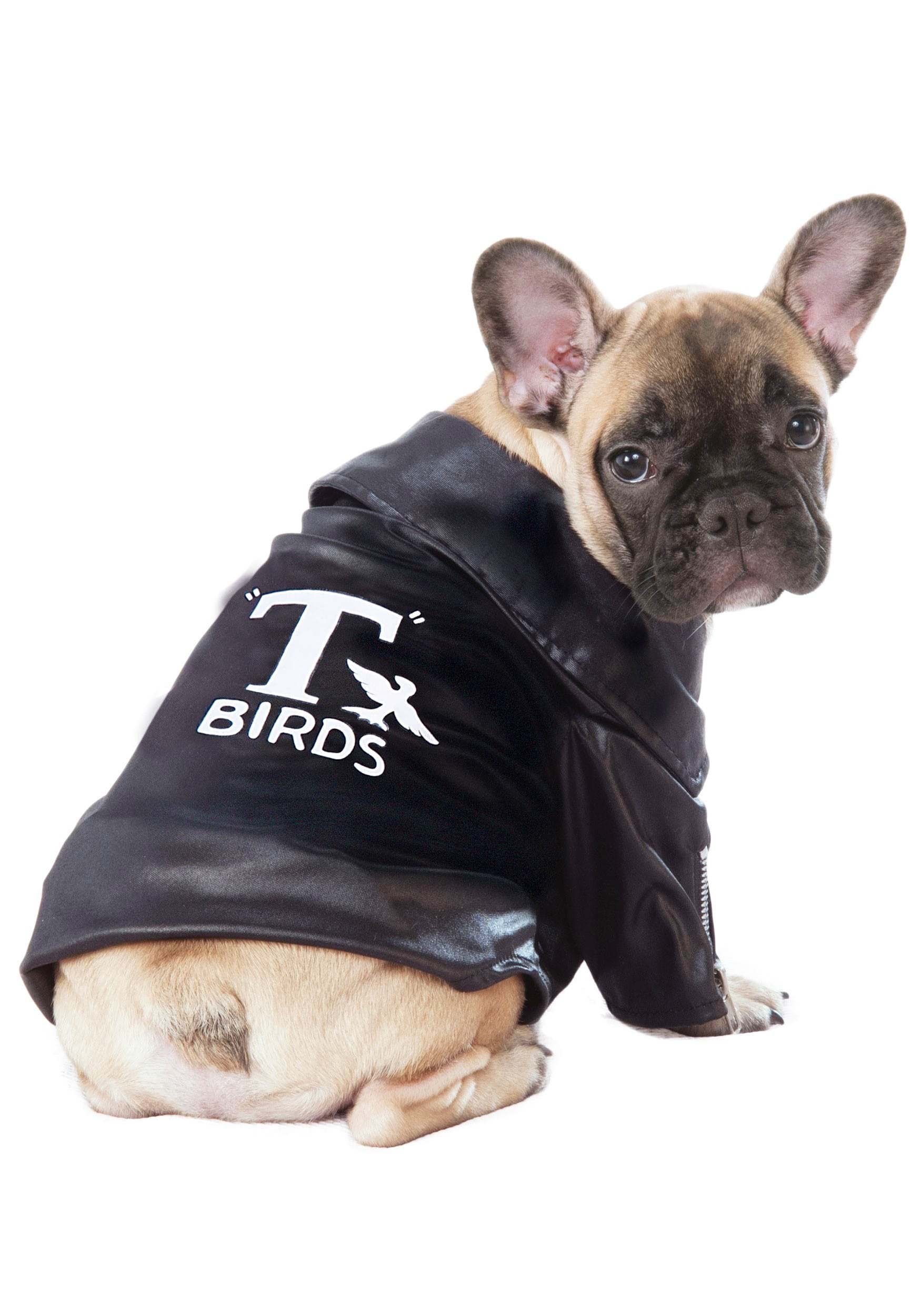 Photos - Fancy Dress Rubies Costume Co. Inc Grease T-Birds Cool Jacket Pet Costume Black/Wh 