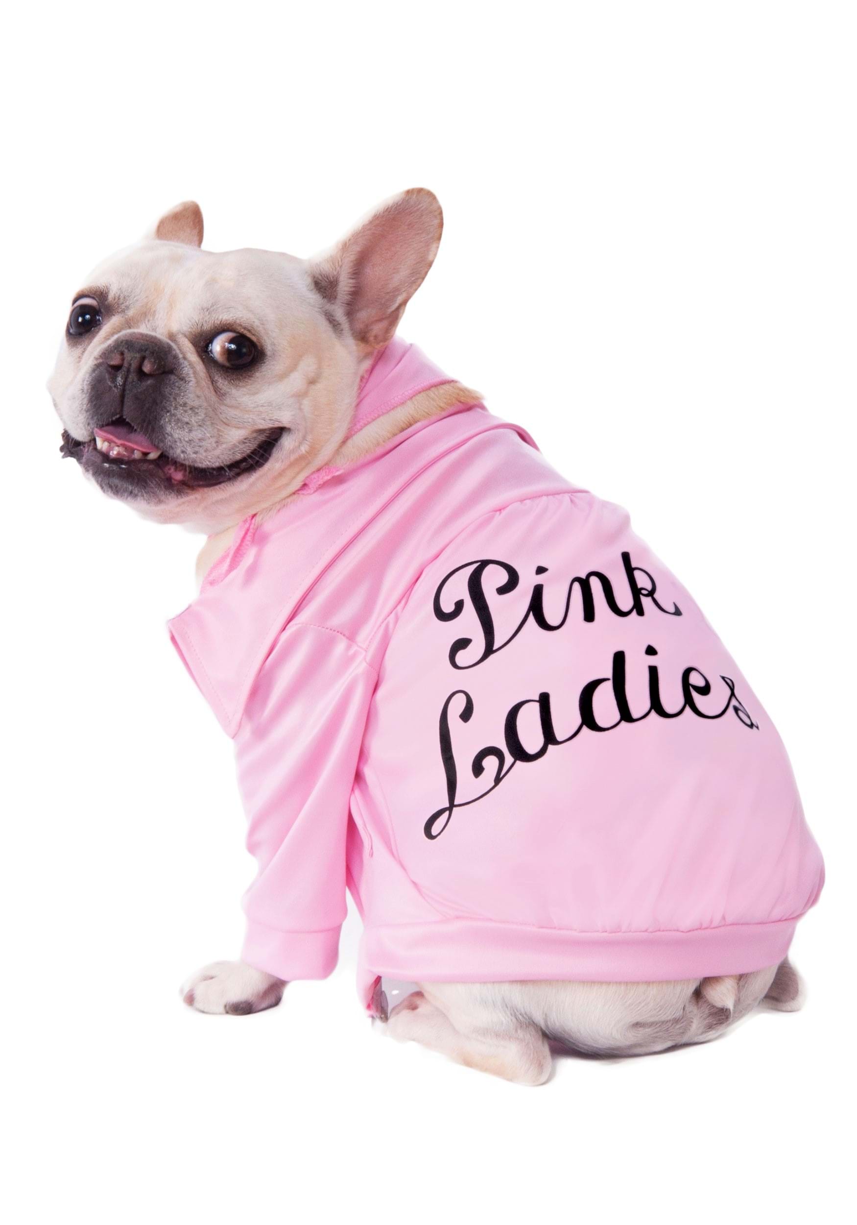 Photos - Fancy Dress Rubies Costume Co. Inc Grease Pink Ladies Jacket Pet Dog Costume Black/ 