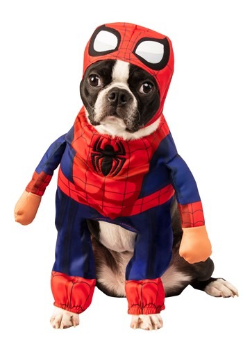 Spider Man Costume for Pets