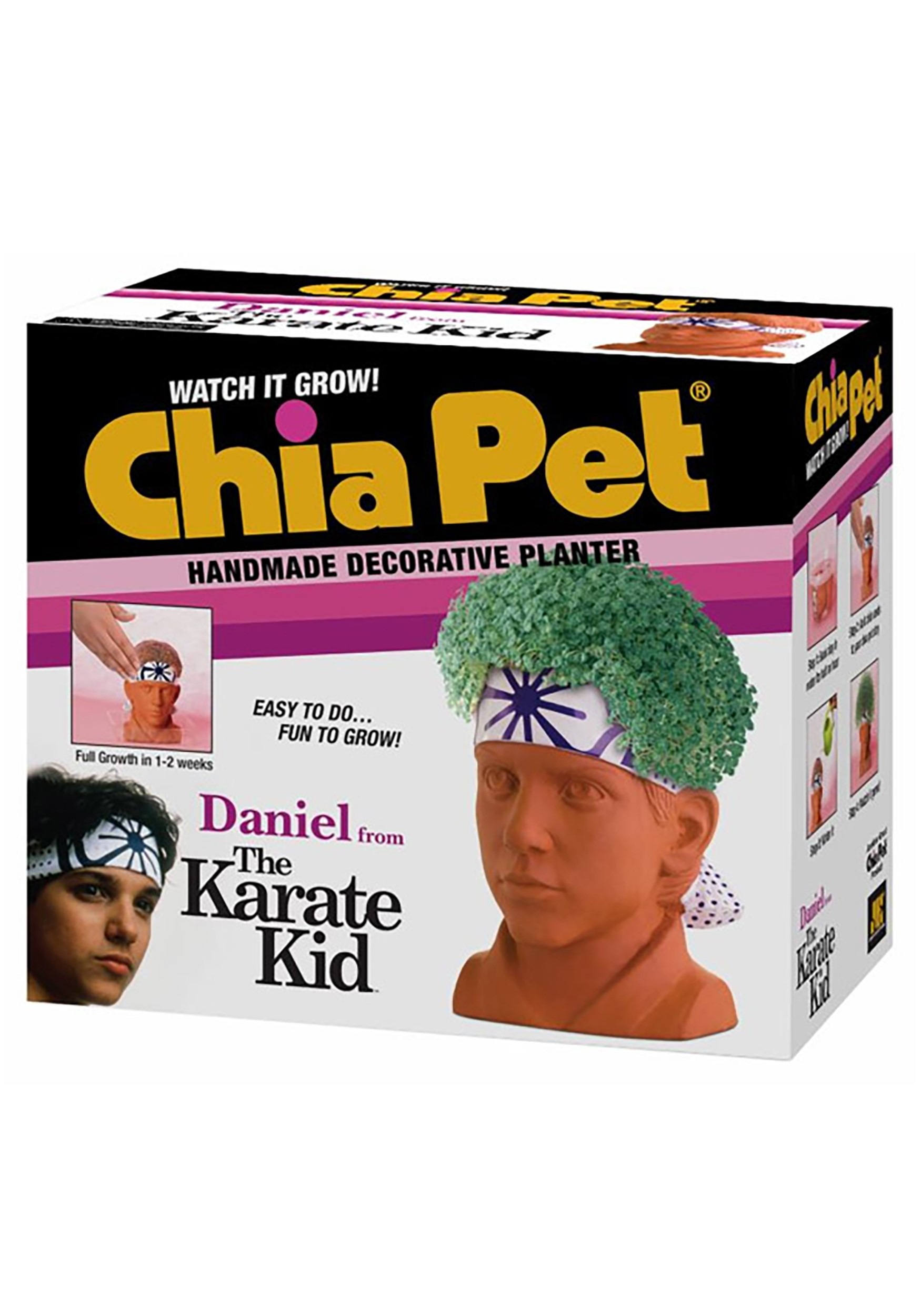 Chia Pet Karate Kid Daniel
