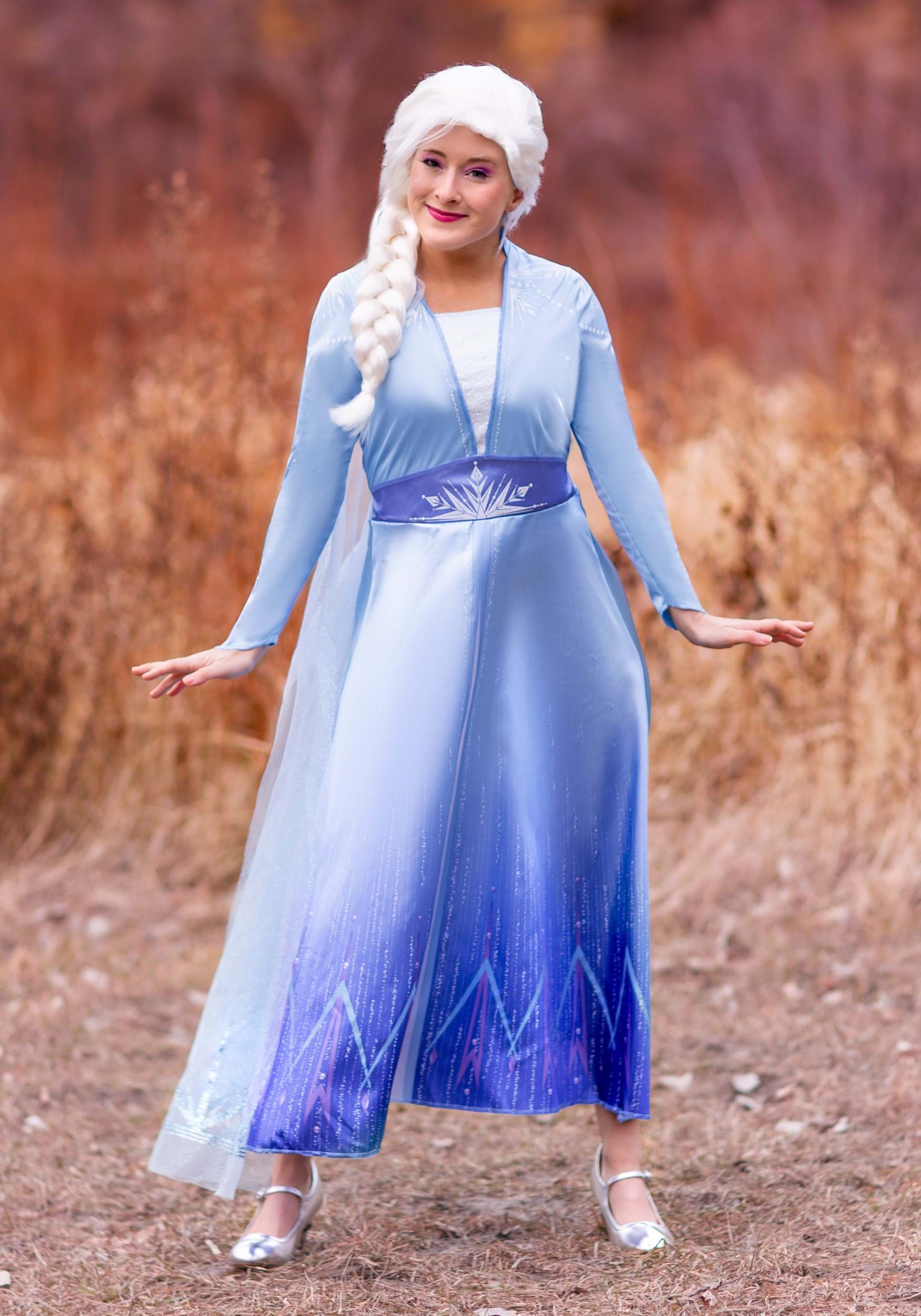 Elsa Dress, Elsa Cosplay costume, Elsa Blue Dresses Halloween Costume