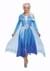 Frozen 2 Womens Elsa Deluxe Costume Alt 1
