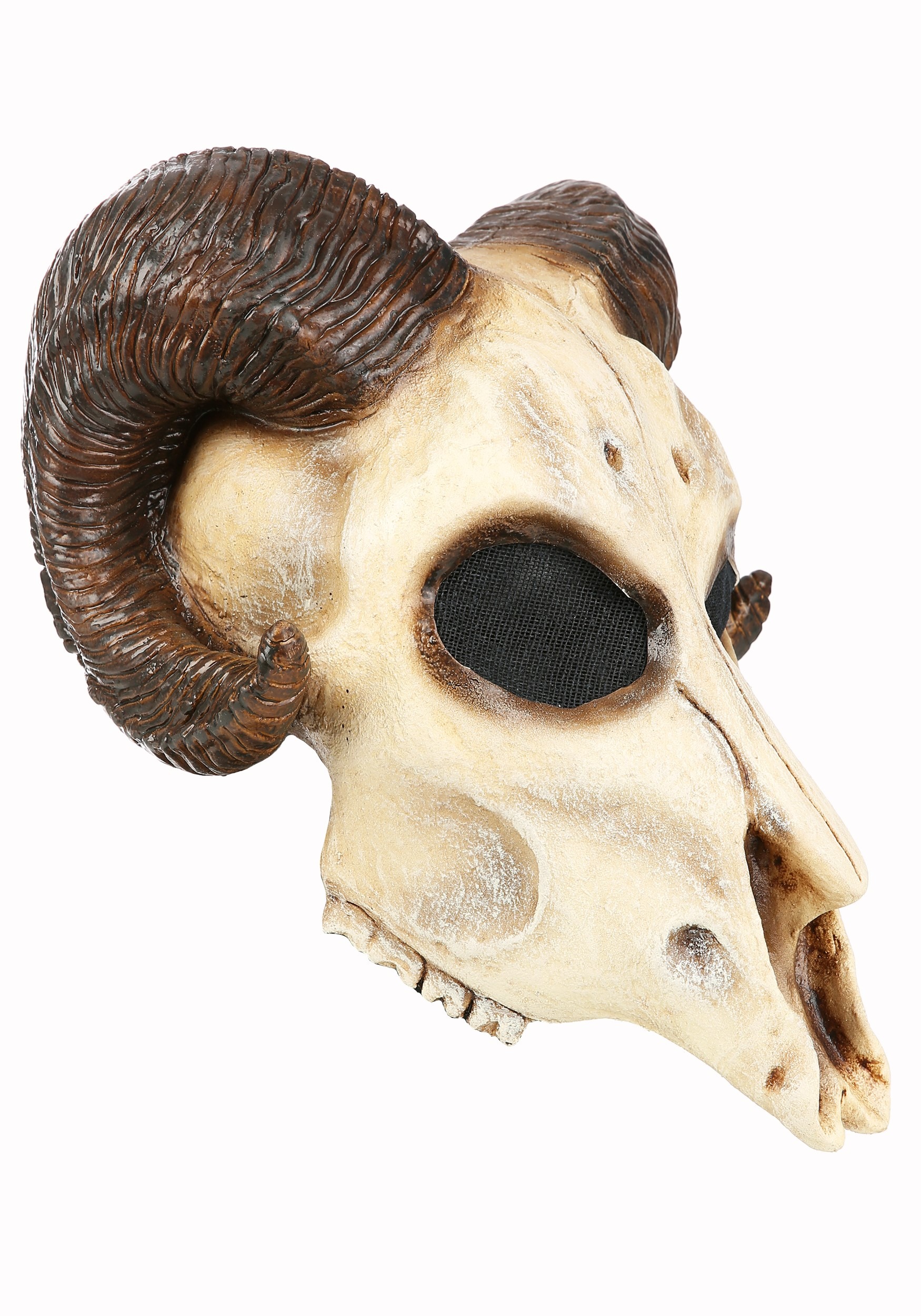 Skull Adult Mask