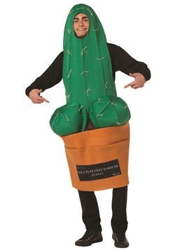 Adult Happy Cactus Costume