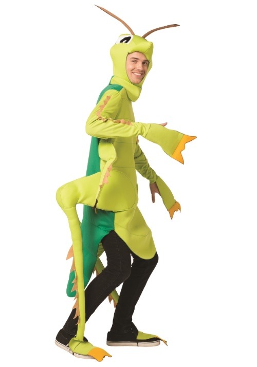 Adult Grasshopper Costume