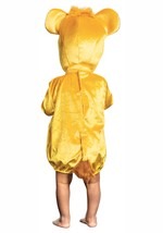 Lion King Infant Simba Costume2