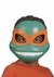 TMNT Basic Mask Assortment Alt 5