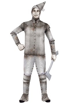 Men's Tin Fellow Costume