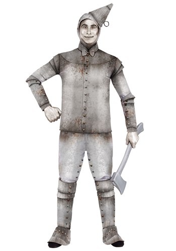 Plus Size Men's Tin Fellow Costume