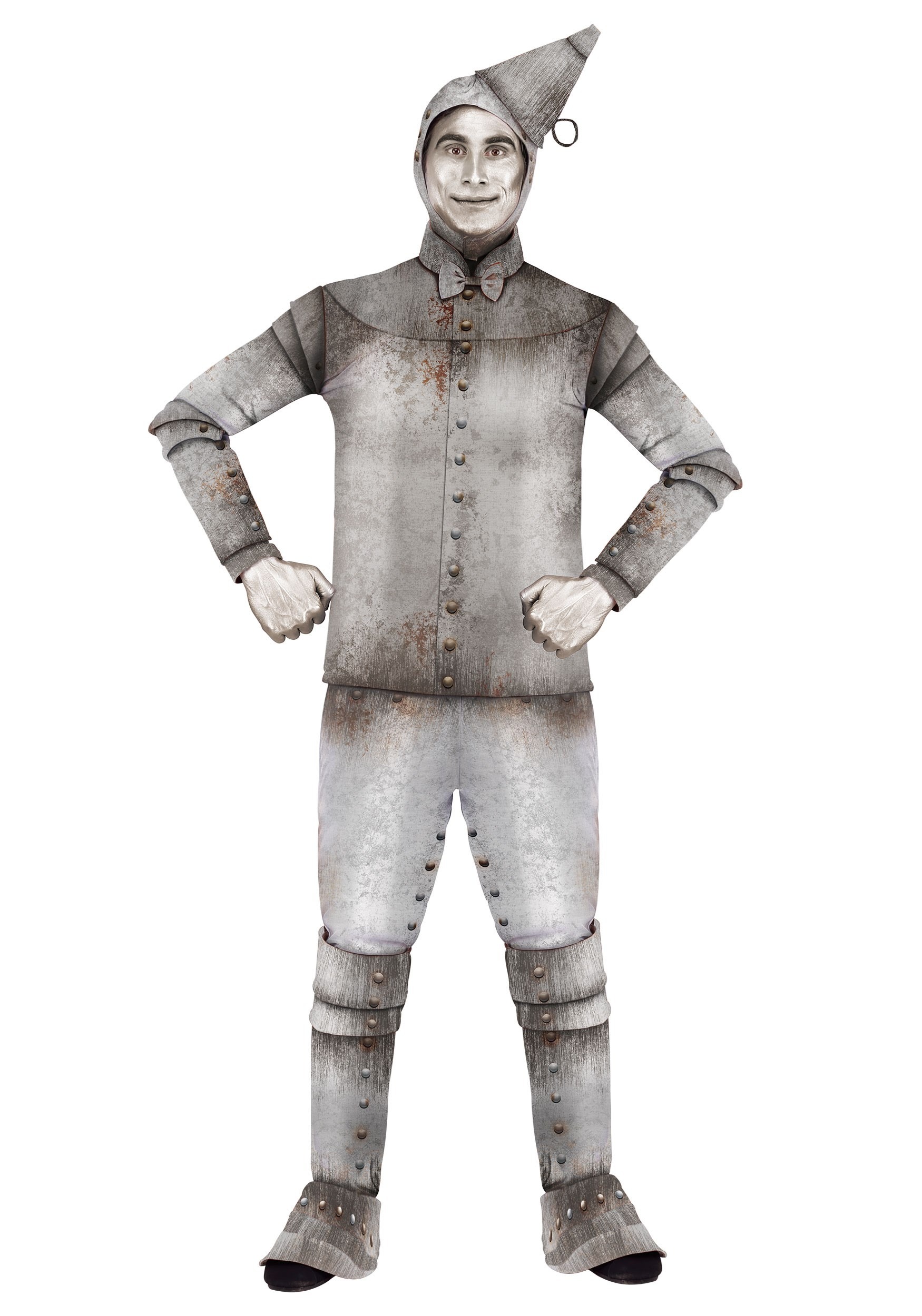 Plus Size Tin Fellow Costume for Men