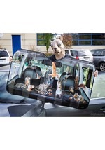 Car Full of Squirrels Auto Sunshade Alt 1