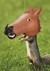Horse Head Squirrel Feeder Alt 1