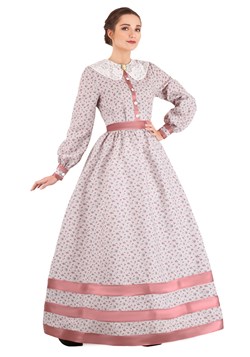 Womens Civil War Dress Costume