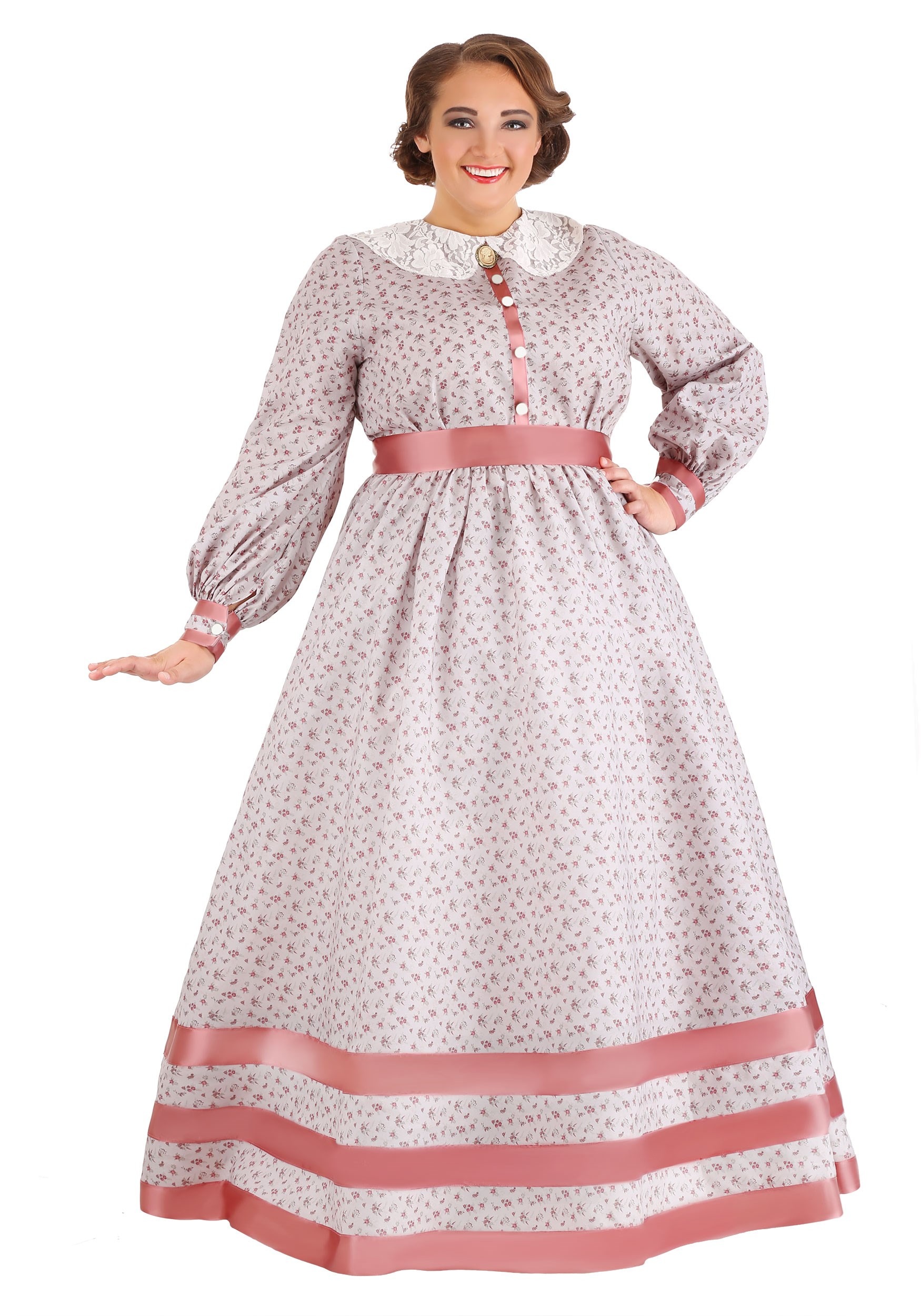 Exclusive Womens Plus Size Civil War Dress Costume
