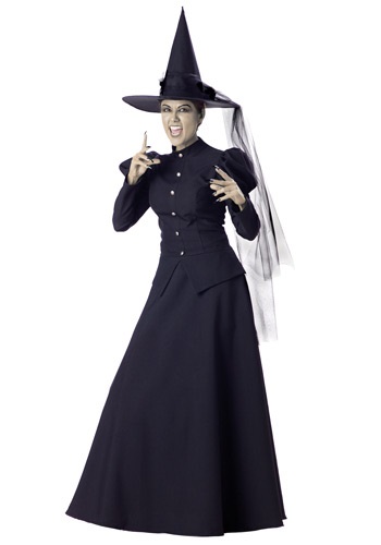 Womens Wicked Witch Costume