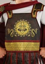 Men's Plus Size Roman Warrior Costume