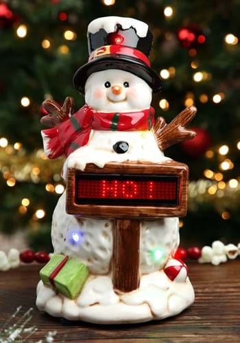 Light Up Musical Snowman with Sign Christmas Decor-0