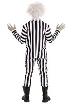 Adult Beetlejuice Costume