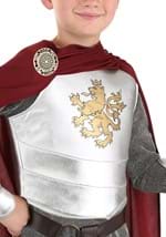Child's Lionheart Knight Costume Alt 1