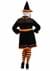 Exclusive Plus Size Women's Costume Crafty Witch Alt 1