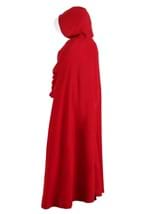 Handmaid's Tale Women's Costume Alt 4